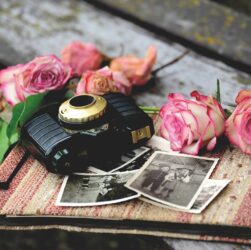 camera, old camera, roses