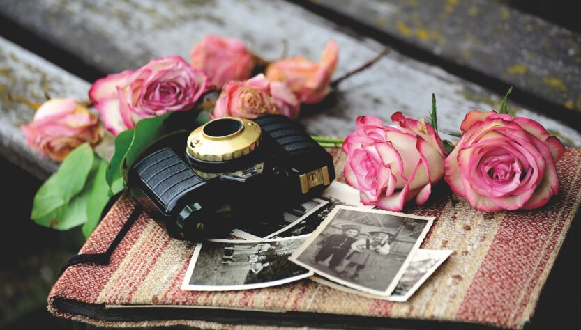 camera, old camera, roses