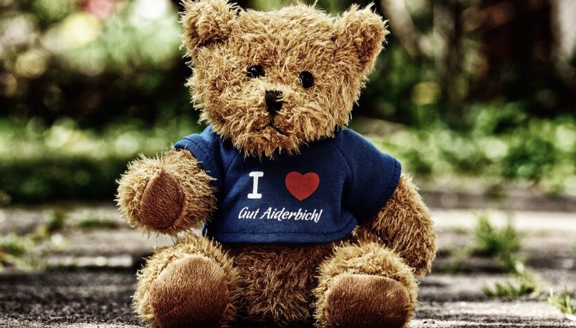 teddy, good aiderbichl, nature